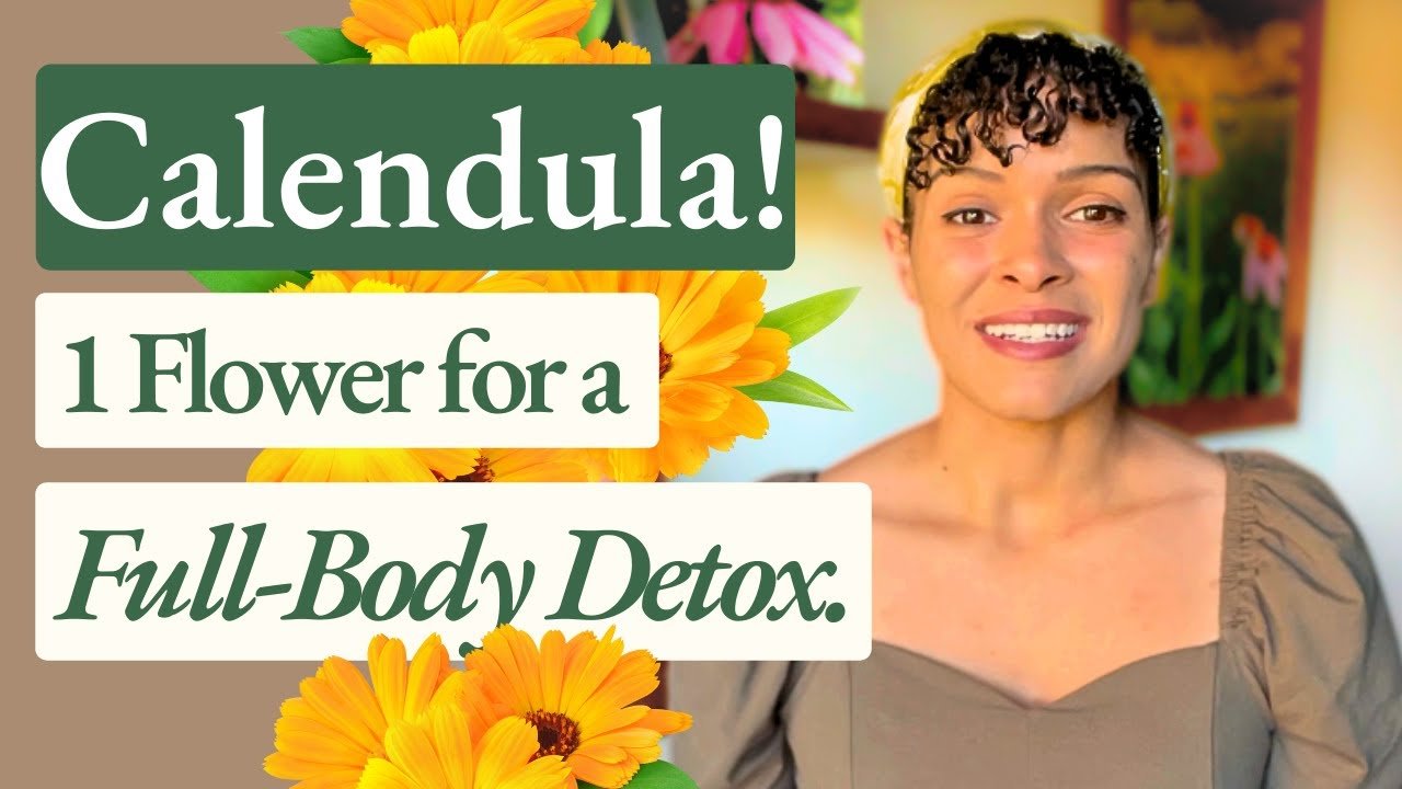 Calendula! Health Benefits Medicinal Uses Calendula! Health Benefits Medicinal Uses